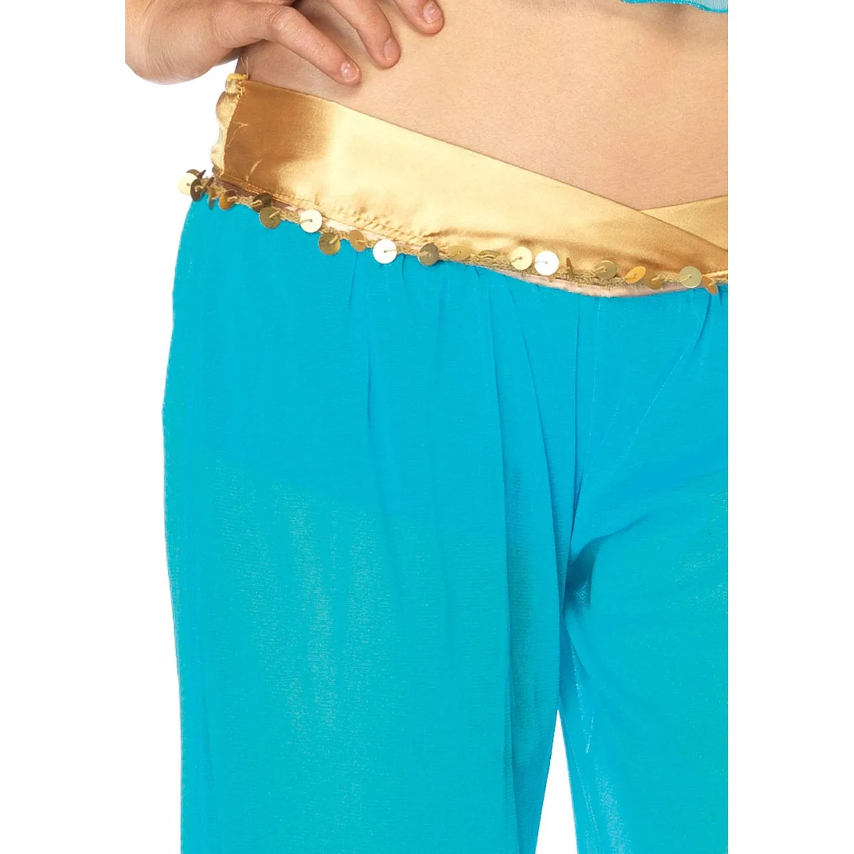 Arabian Beauty Ladies Leg Avenue Costume